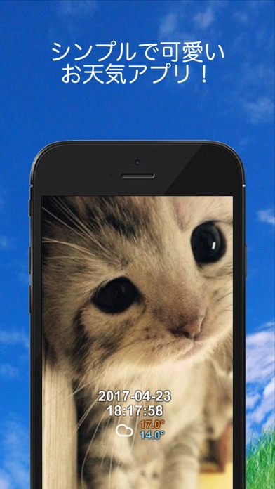 可愛い子猫のお天気アプリ screenshot1