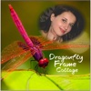 Dragonfly Photo Frames Collage Selfie Wallpaper 3D