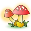 Directory of mushrooms