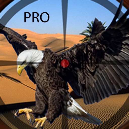 A Eagle Shooting Pro