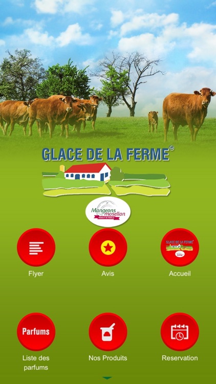 Glace de la Ferme