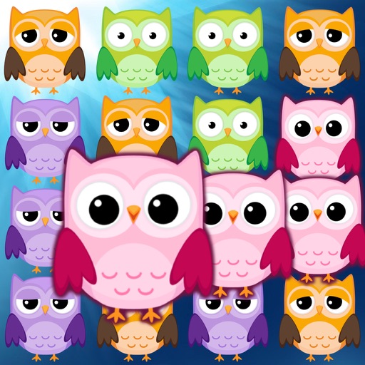 Cute Owl Pop Icon