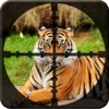 Forest Animal Hunting : Pro Shooting GAme