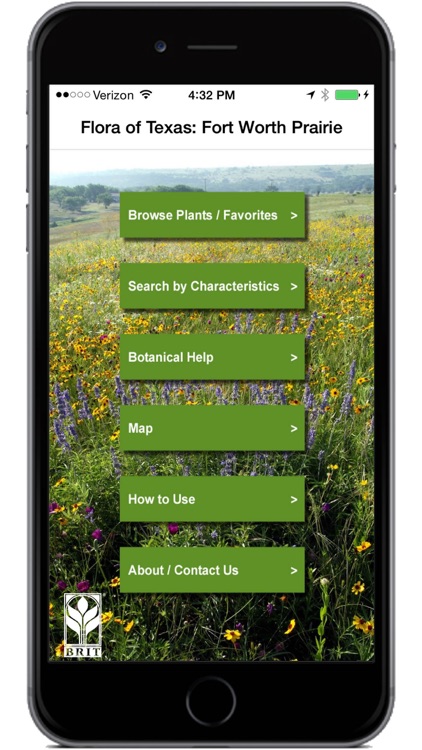 Flora of Texas: FW Prairie