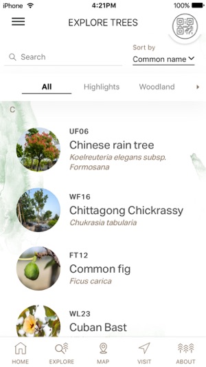 Discover Trees at West Kowloon 西九樹木導賞(圖3)-速報App