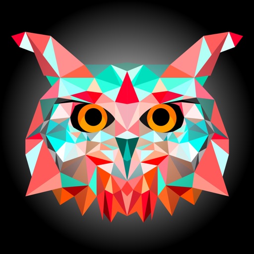 Smart Owl Maths Icon