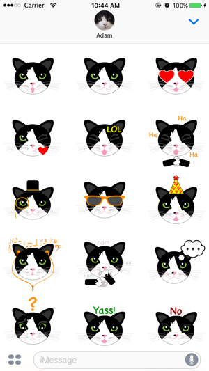 MoMeow Kitty(圖2)-速報App