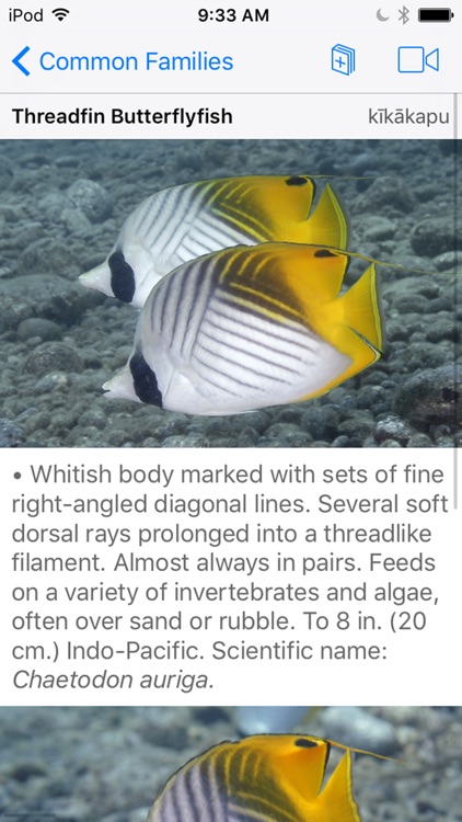 Snorkel Fish Hawaii for iPhone
