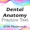Dental Anatomy Exam Review & Test Bank Prep App