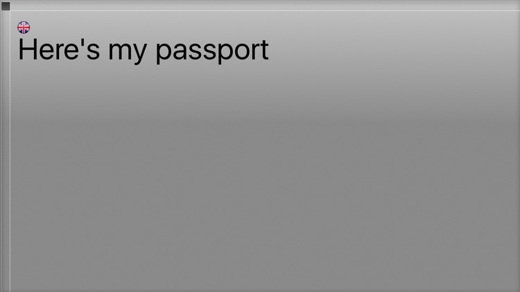 Mio Traduttore Pro screenshot-4