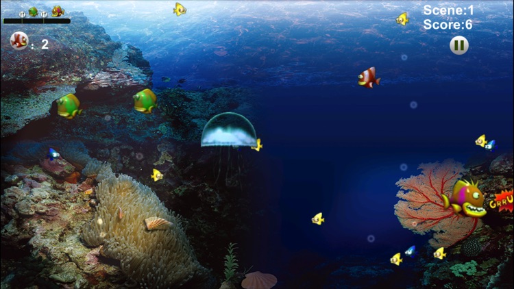 King Of Fish