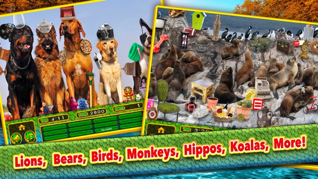 Hidden Object Animal Spy Quest(圖4)-速報App