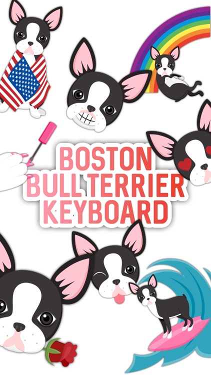 Boston Bull Terrier Keyboard