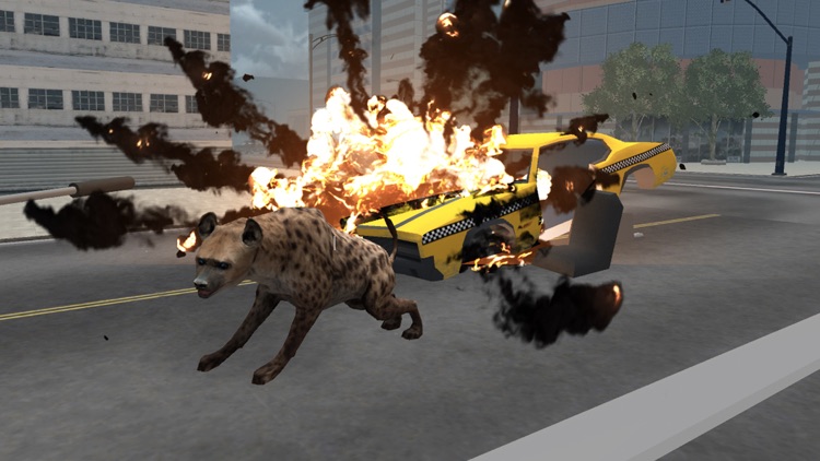 Hyena Rampage : Wild Animal Simulator 2017