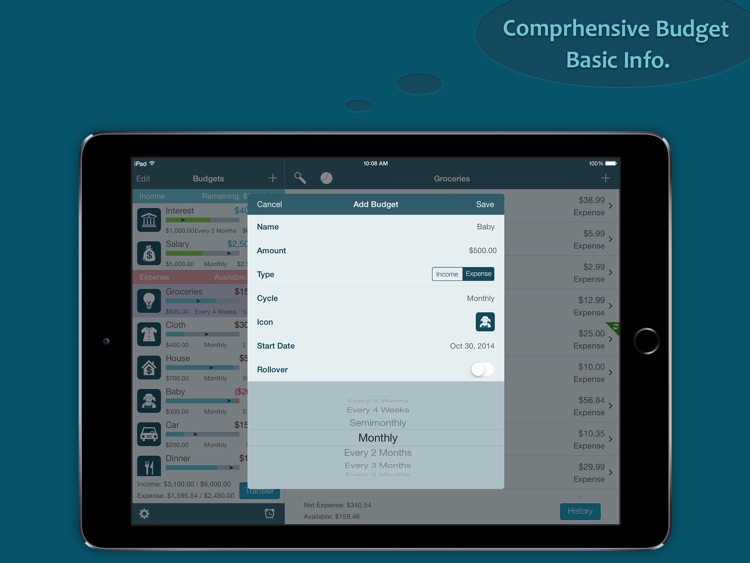 Best Budget Pro for iPad - Control your Expense screenshot-3