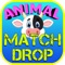 Animals Drop Match 3 Games for Kids