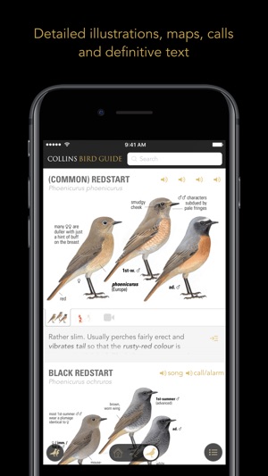 Collins British Bird Guide(圖4)-速報App