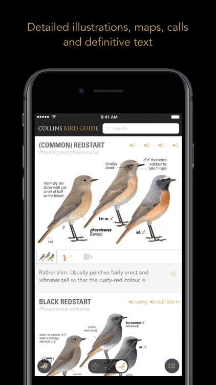 Collins British Bird Guide screenshot-3