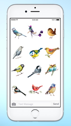 Watercolor Birds Sticker Pack(圖4)-速報App