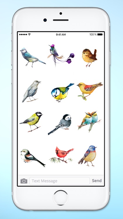Watercolor Birds Sticker Pack screenshot-3
