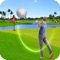 Golf Simulator 2017