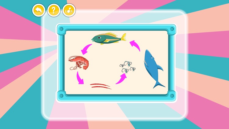 Animal food chain screenshot-3