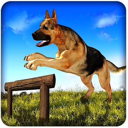 Crazy Dog Run Adventure Pro icon