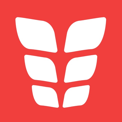Six Pack ABS by VGFiT
