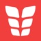 Six Pack Abs by VGFIT helps you get in shape, lose belly fat, improve your core strength and stay fit