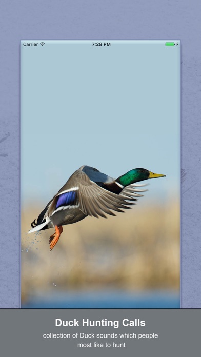 How to cancel & delete Duck Hunting Calls New from iphone & ipad 1