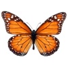 Butterfly Beautiful Stickers