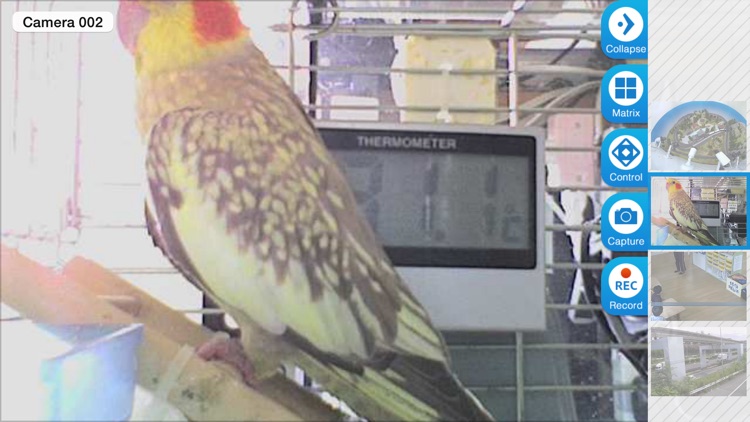 Viewer for D-link IP cameras