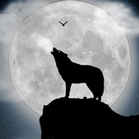 Werewolf Horror Hintergrundbilder & Hintergründe apk