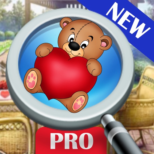 Hidden object: New years romance Pro icon