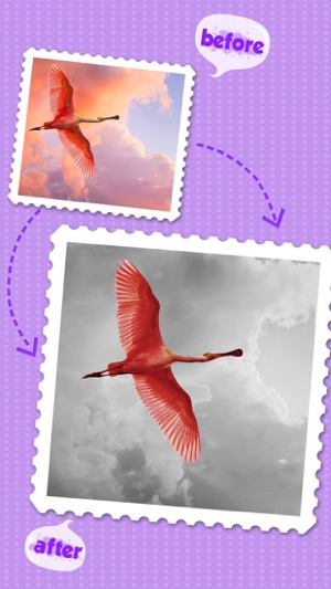 Color Editor - Photo Recolor & Background Eraser(圖5)-速報App