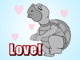 Your messages get a lot of amazing, beautiful and funny Stickers