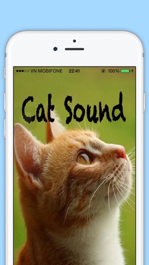 Funny Cat Sounds - Cat Music,Meow Sounds(圖1)-速報App