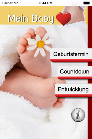 Mein Baby - Ich bin schwanger - náhled