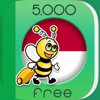 5000 Expressions - Apprendre Indonésien pour PC
