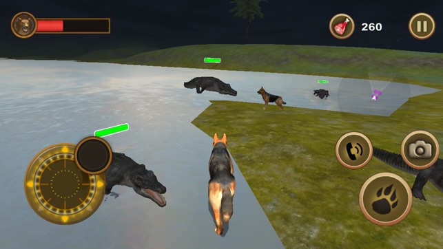 Dog Survival Simulator 2(圖5)-速報App