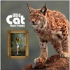 Wild Cat Photo Frames Free Online Selfie Editor HD