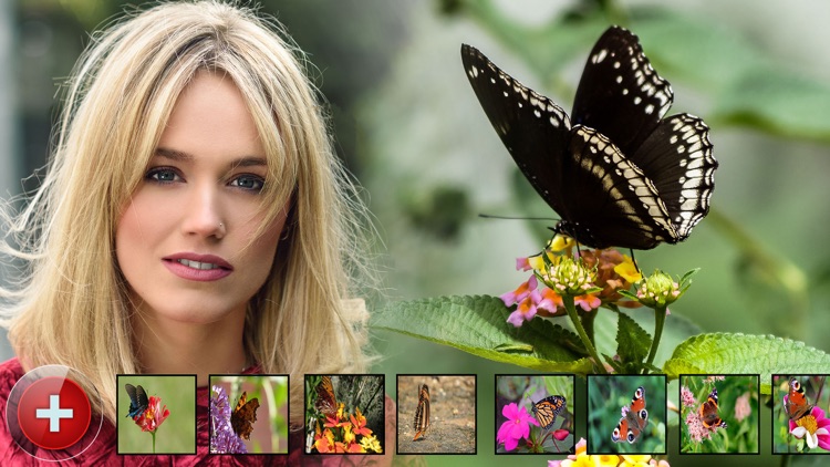 Butterfly Photo Frames & Collage Photo Editor