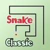 Stupid Snake Classic