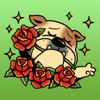 So So Cute Bulldog Stickers