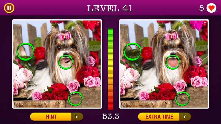 5 Differences ~ Spot the Hidden Objects! screenshot-3