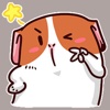 Cute Fat Puppy Stickers For iMessage