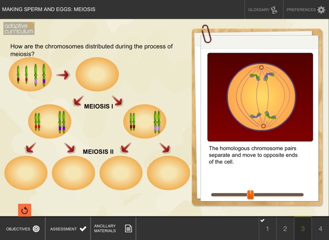 Making Sperm and Eggs: Meiosis(圖4)-速報App