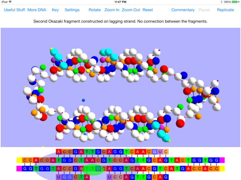 OnScreen DNA Replication screenshot 4