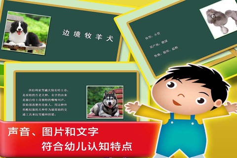 浣熊博士认知课堂 - 认识世界名猫和名犬的中文简体版APP screenshot 3