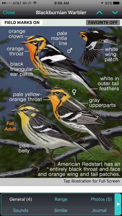 iBird Ultimate Guide to Birds